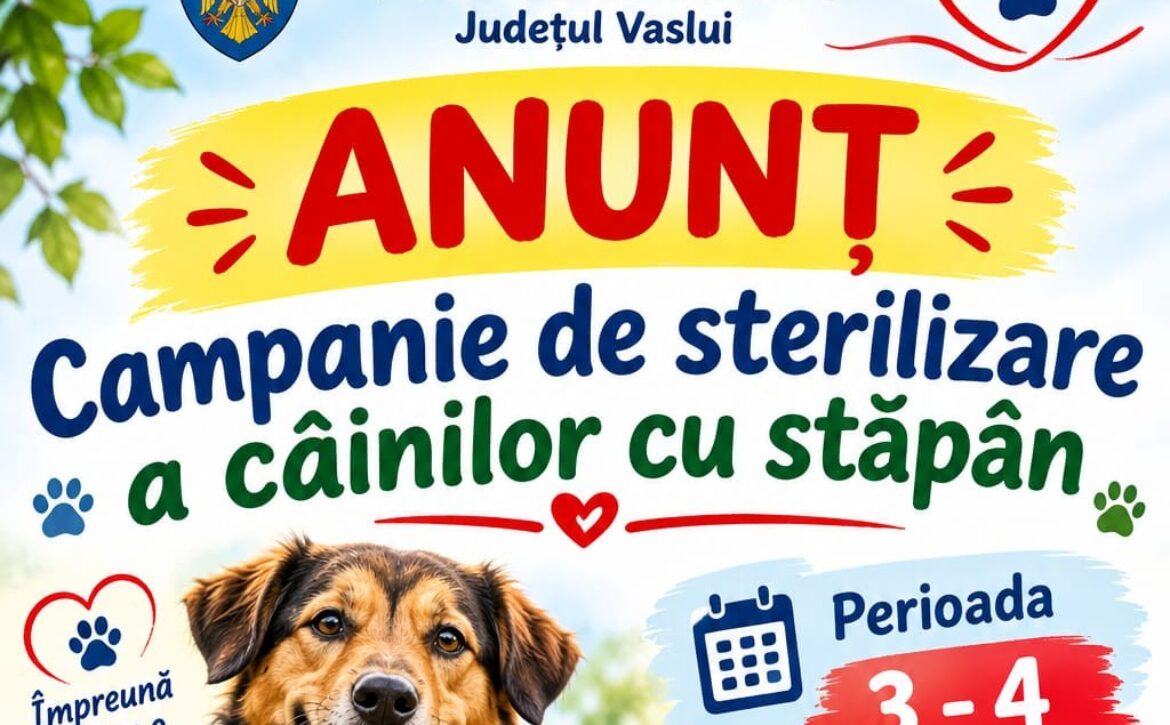 sterilizare-caini