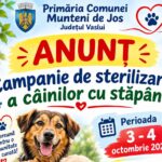 Campanie de sterilizare a câinilor cu stăpân